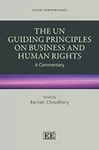 The UN Guiding Principles on Business and Human Rights: A Commentary